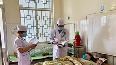 Quảng Ngãi chủ động phòng chống bệnh sốt xuất huyết