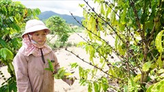 Hai thủy điện không hỗ trợ thiệt hại cho người dân ở Kon Tum: “Tối hậu thư” cho hai công ty thủy điện chây ì