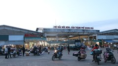 Cửu vạn trong đêm ở chợ đầu mối lớn nhất xứ Quảng