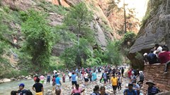 Phim ảnh và KOLs  kích thích “dịch chuyển”