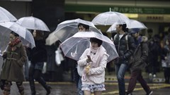 Nét văn hóa độc đáo ở Nhật Bản: Những chiếc ô trong suốt