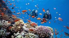 Hòn Thơm - thiên đường du lịch hè Phú Quốc