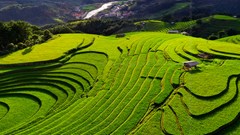 Yên Bái: Hơn 94.500 lượt du khách đến Mù Cang Chải tham quan, trải nghiệm