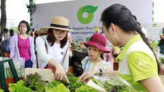 Đẩy mạnh phong trào “Sống xanh – Sống khỏe”