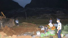 Thanh Hóa: Tiêu hủy 1,2 tấn thực phẩm đông lạnh không rõ nguồn gốc