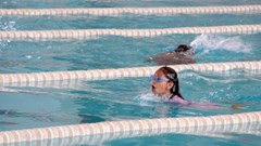 Phú Thọ phát động toàn dân tập luyện môn bơi, phòng chống đuối nước