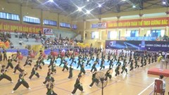 Hơn 500 VĐV tham gia Liên hoan Tinh hoa võ thuật tỉnh Thanh Hóa mở rộng