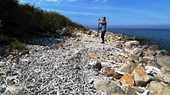 Thống nhất giải pháp tổng thể phục hồi rạn san hô trong vịnh Nha Trang