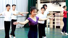 Bộ GD&ĐT đồng ý với đề xuất của Bộ VHTTDL cho các trường nghệ thuật giảng dạy Chương trình giáo dục phổ thông, giáo dục từ xa