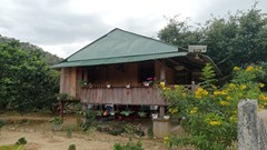 Đi tìm Giấc mơ Chapi