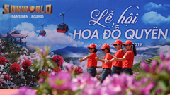 Hò hẹn giữa mùa đỗ quyên nở rộ Hoàng Liên Sơn