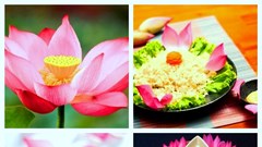 Lễ hội Văn hóa - Ẩm thực Việt Nam năm 2022 sẽ diễn ra tại Quảng Trị