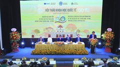 Bảo tồn và phát huy giá trị di sản Hoàng thành Thăng Long- Hà Nội