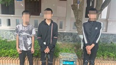 Nghệ An: Bắt nhóm thiếu niên trộm cắp tiền công đức đền, chùa và nhà thờ