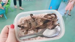 Hình ảnh "hộp cơm thịt chuột” được cho là của học sinh vùng cao tại Quảng Nam: Thông tin không đúng sự thật