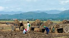 Ninh Thuận: Kỳ bí cánh đồng đất sét Paley Hamu Trok bên bờ sông Quao