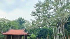 Lam Kinh sau 10 năm được công nhận là Di tích quốc gia đặc biệt