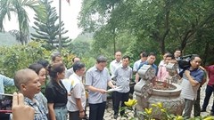 Thanh Hoá: Giao đất thuộc khu vực II di tích quốc gia khi chưa có văn bản đồng ý của Bộ trưởng Bộ VHTTDL