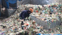 17 bộ phim tham dự LHP quốc tế về thiên nhiên đầu tiên tại Việt Nam