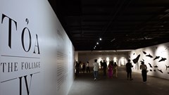 “Tỏa IV” tại VCCA: Cuộc đối thoại của người trẻ với tự nhiên