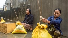 Hối hả chống bão Noru