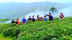 “Văn hóa còn thì dân tộc còn” (Bài 4): Khát vọng nở hoa trên đá