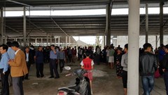 Quảng Bình: Người dân kéo đến vây trang trại nuôi bò gây ô nhiễm