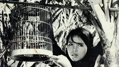 Xây dựng Trung tâm Phát hành và phổ biến phim trực tuyến: Đã sẵn sàng “mở kho” phim Việt