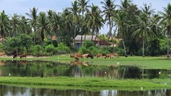 Quảng Ngãi: Xây dựng hồ sơ Di tích quốc gia đặc biệt văn hóa Sa Huỳnh