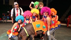 Liên đoàn Xiếc Việt Nam: Ưu đãi cho mua vé “sỉ”