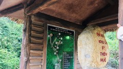 Phát huy giá trị di tích địa đạo Khu ủy Trị Thiên Huế