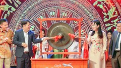 Khai mạc cuộc thi tìm hiểu về văn hóa và kiến thức khu vực Đông Nam Á