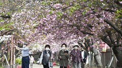 Nhật Bản mở cửa trở lại cho khách du lịch sau hai năm rưỡi