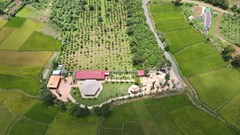 Vụ xây biệt phủ khủng trên đất nông nghiệp ở TP Pleiku (Gia Lai): Xử phạt 22,5 triệu đồng, buộc tháo dỡ trả lại hiện trạng ban đầu