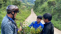 Vì một cộng đồng không có những cái chết từ… lá ngón