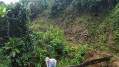 Cô giáo trẻ bám thân cây​​​​​​​ vượt suối đến lớp