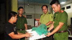 Lái xe tự nguyện giao nộp 12 cá thể kỳ đà hoa quý hiếm