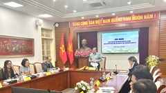 Kiến nghị tiếp tục ủng hộ thực hiện Đề án đào tạo tài năng trong lĩnh vực VHNT