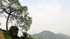 Lào Cai: Một người mất tích khi bơi qua sông Chảy ở Bắc Hà