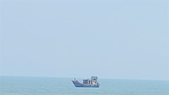 Tàu giã cào hoạt động gần bờ trái phép, ngư dân mất kế sinh nhai