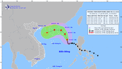 Bão số 7 giật cấp 13, có xu hướng mạnh lên trong 24 giờ tới
