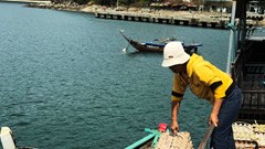 Xứ đảo tích trữ hàng hóa trước mùa mưa bão