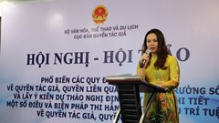 Nhiều thách thức đặt ra trong việc thực thi và bảo vệ bản quyền trên môi trường số