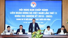 Mỗi CLB V.League sẽ được đăng ký 1 cầu thủ nước ngoài gốc Việt