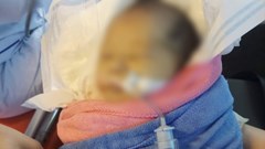 Bé gái sơ sinh bị bỏ rơi giữa rừng đã tử vong