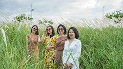 Đà Nẵng: Người dân, du khách hào hứng “check-in” mùa lau trắng