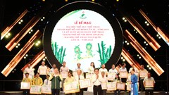 Bế mạc Đại hội TDTT TP.HCM lần thứ IX