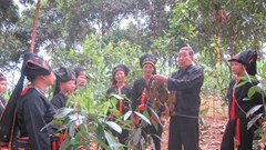 Vai trò giáo dục của người cao tuổi trong gia đình Việt Nam hiện nay