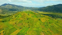 Núi lửa Chư Đăng Ya nhuộm vàng sắc hoa dã quỳ