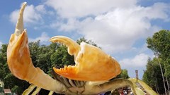 Lần đầu tiên Cà Mau tổ chức Ngày hội cua